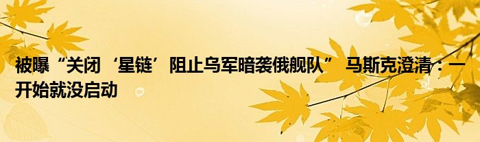 被曝“关闭‘星链’阻止乌军暗袭俄舰队” 马斯克澄清:一开始就没启动