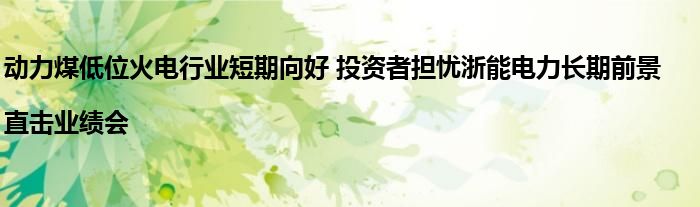 动力煤低位火电行业短期向好 投资者担忧浙能电力长期前景|直击业绩会