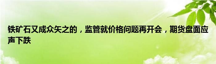 铁矿石又成众矢之的,监管就价格问题再开会,期货盘面应声下跌