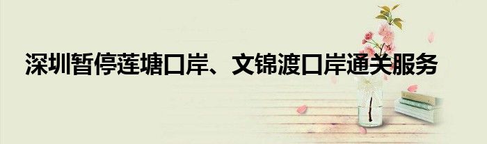 深圳暂停莲塘口岸、文锦渡口岸通关服务