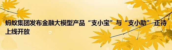 蚂蚁集团发布金融大模型产品“支小宝”与“支小助” 正待上线开放