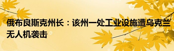 俄布良斯克州长:该州一处工业设施遭乌克兰无人机袭击