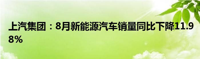 上汽集团:8月新能源汽车销量同比下降11.98%