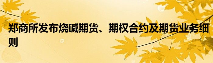 郑商所发布烧碱期货、期权合约及期货业务细则