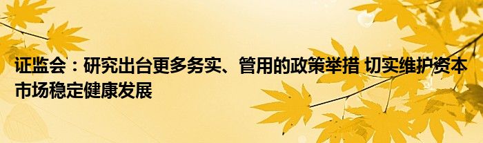证监会:研究出台更多务实、管用的政策举措 切实维护资本市场稳定健康发展