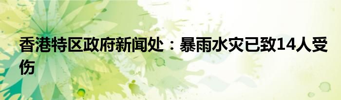 香港特区政府新闻处:暴雨水灾已致14人受伤