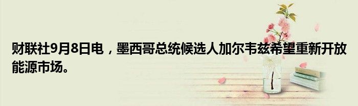 财联社9月8日电,墨西哥总统候选人加尔韦兹希望重新开放能源市场。