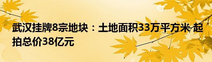 武汉挂牌8宗地块:土地面积33万平方米 起拍总价38亿元