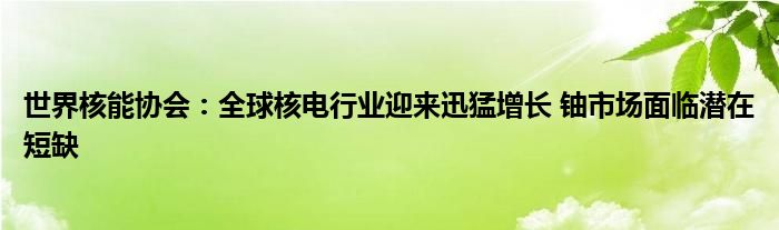 世界核能协会:全球核电行业迎来迅猛增长 铀市场面临潜在短缺