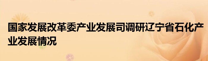 国家发展改革委产业发展司调研辽宁省石化产业发展情况