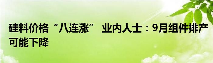 硅料价格“八连涨” 业内人士:9月组件排产可能下降