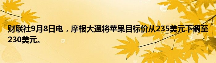 财联社9月8日电,摩根大通将苹果目标价从235美元下调至230美元。