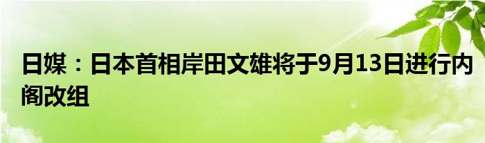日媒:日本首相岸田文雄将于9月13日进行内阁改组