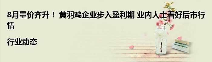8月量价齐升! 黄羽鸡企业步入盈利期 业内人士看好后市行情|行业动态