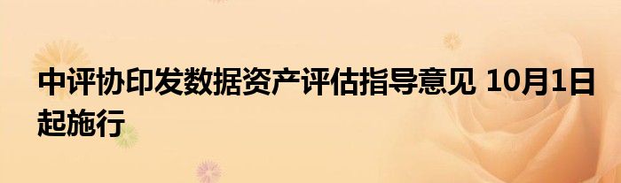中评协印发数据资产评估指导意见 10月1日起施行