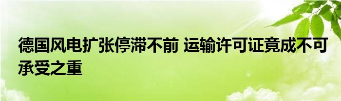 德国风电扩张停滞不前 运输许可证竟成不可承受之重