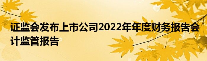 证监会发布上市公司2022年年度财务报告会计监管报告