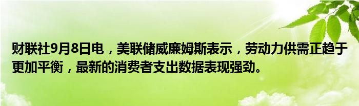 财联社9月8日电,美联储威廉姆斯表示,劳动力供需正趋于更加平衡,最新的消费者支出数据表现强劲。