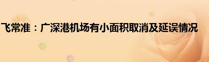 飞常准:广深港机场有小面积取消及延误情况