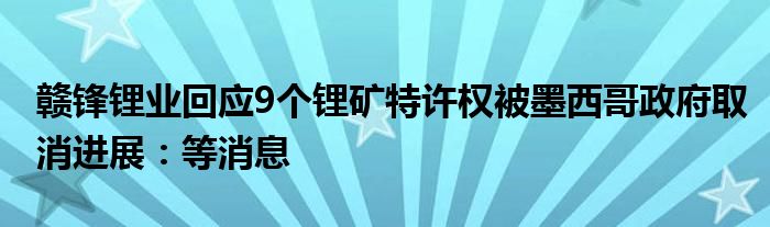 赣锋锂业回应9个锂矿特许权被墨西哥政府取消进展:等消息