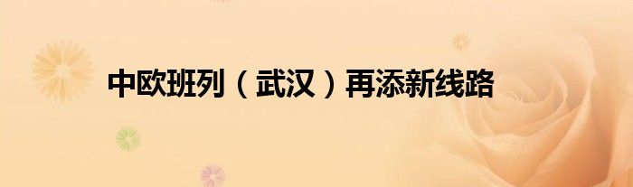 中欧班列（武汉）再添新线路