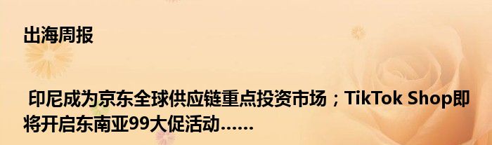 出海周报 | 印尼成为京东全球供应链重点投资市场;TikTok Shop即将开启东南亚99大促活动……
