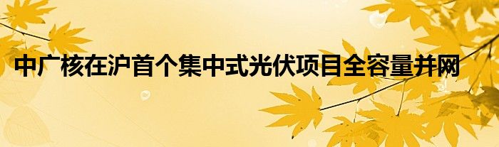 中广核在沪首个集中式光伏项目全容量并网