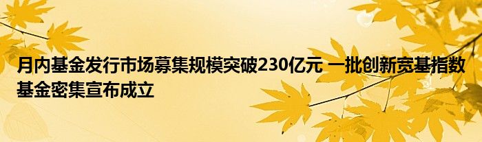 月内基金发行市场募集规模突破230亿元 一批创新宽基指数基金密集宣布成立
