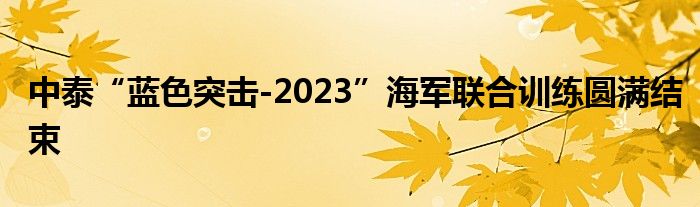 中泰“蓝色突击-2023”海军联合训练圆满结束