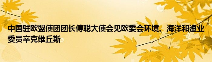中国驻欧盟使团团长傅聪大使会见欧委会环境、海洋和渔业委员辛克维丘斯