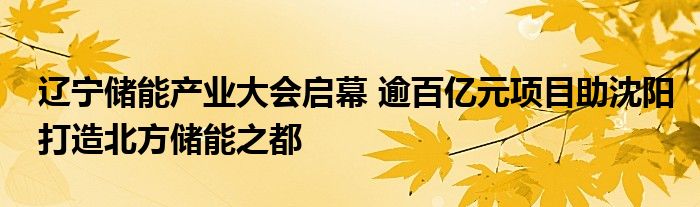 辽宁储能产业大会启幕 逾百亿元项目助沈阳打造北方储能之都