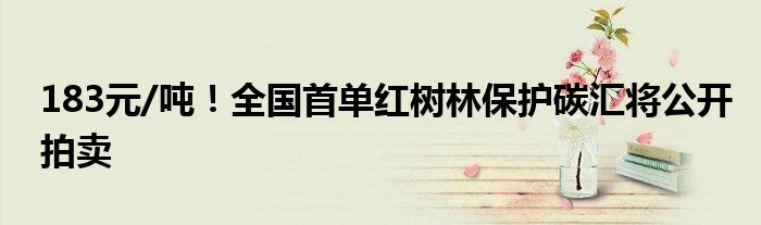 183元/吨!全国首单红树林保护碳汇将公开拍卖