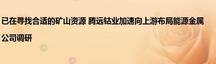 已在寻找合适的矿山资源 腾远钴业加速向上游布局能源金属|公司调研