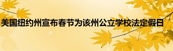 美国纽约州宣布春节为该州公立学校法定假日