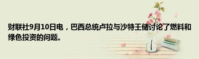 财联社9月10日电,巴西总统卢拉与沙特王储讨论了燃料和绿色投资的问题。