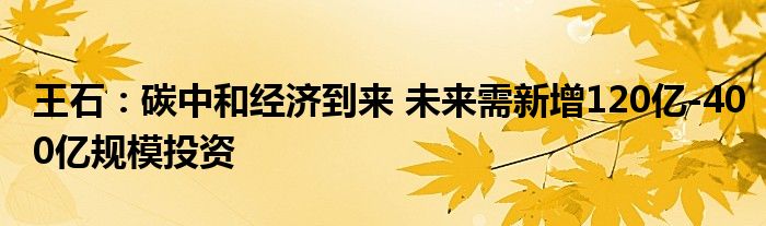 王石:碳中和经济到来 未来需新增120亿-400亿规模投资