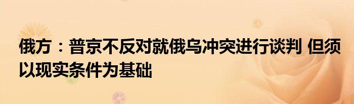 俄方:普京不反对就俄乌冲突进行谈判 但须以现实条件为基础