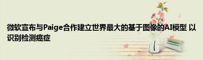微软宣布与Paige合作建立世界最大的基于图像的AI模型 以识别检测癌症