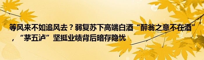 等风来不如追风去?弱复苏下高端白酒“醉翁之意不在酒”,“茅五泸”坚挺业绩背后暗存隐忧
