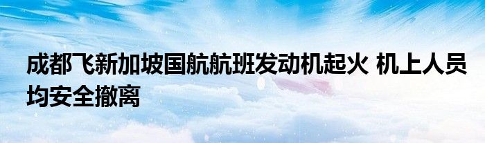 成都飞新加坡国航航班发动机起火 机上人员均安全撤离