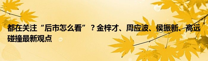 都在关注“后市怎么看”?金梓才、周应波、侯振新、高远碰撞最新观点