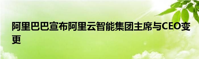 阿里巴巴宣布阿里云智能集团主席与CEO变更