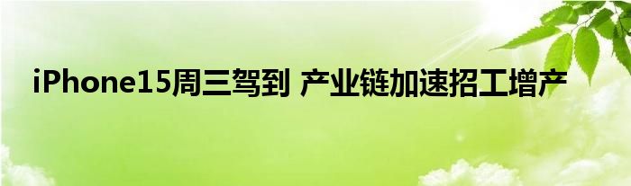 iPhone15周三驾到 产业链加速招工增产