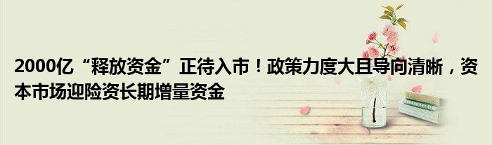 2000亿“释放资金”正待入市!政策力度大且导向清晰,资本市场迎险资长期增量资金