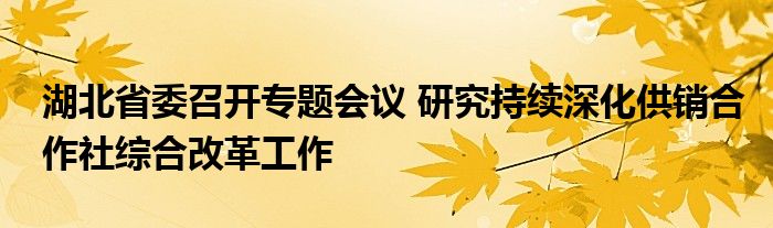 湖北省委召开专题会议 研究持续深化供销合作社综合改革工作