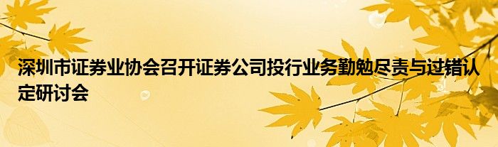 深圳市证券业协会召开证券公司投行业务勤勉尽责与过错认定研讨会