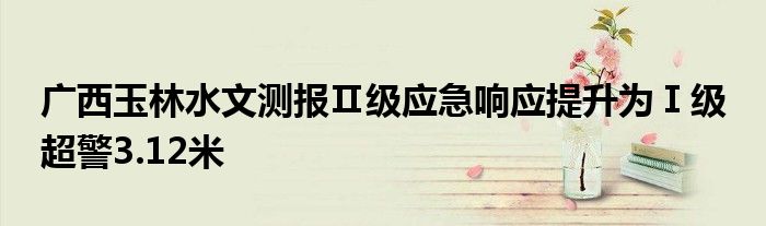 广西玉林水文测报Ⅱ级应急响应提升为Ⅰ级 超警3.12米