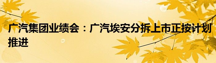 广汽集团业绩会:广汽埃安分拆上市正按计划推进