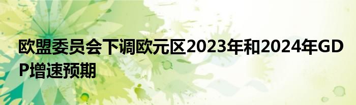 欧盟委员会下调欧元区2023年和2024年GDP增速预期
