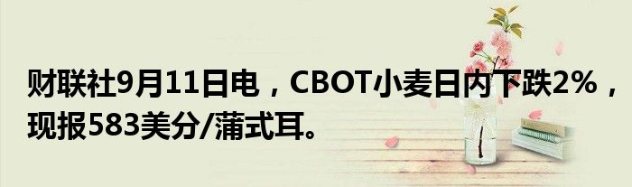 财联社9月11日电，CBOT小麦日内下跌2%，现报583美分/蒲式耳。